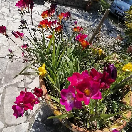 Casa de Férias Elvira