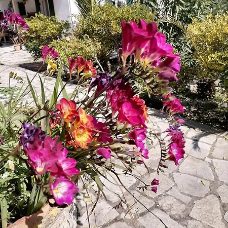 Elvira Casa de Férias Magaziá