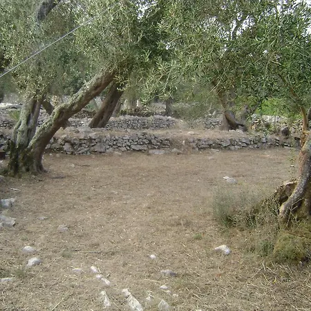 Casa de Férias Elvira