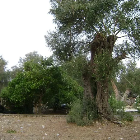 Elvira Casa de Férias