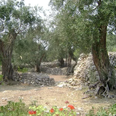 Casa de Férias Elvira