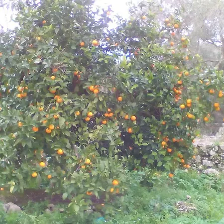 Casa de Férias Elvira *