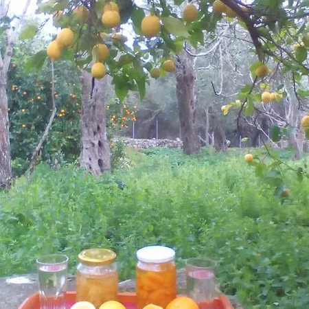 Casa de Férias Elvira