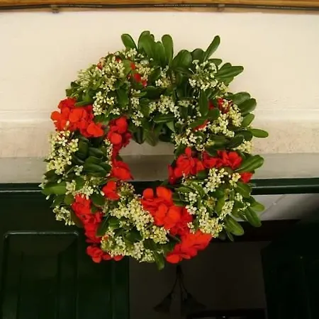 Elvira Casa de Férias *