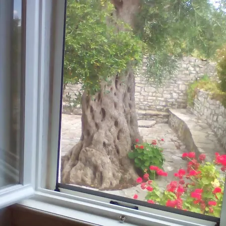 Elvira Casa de Férias Magaziá