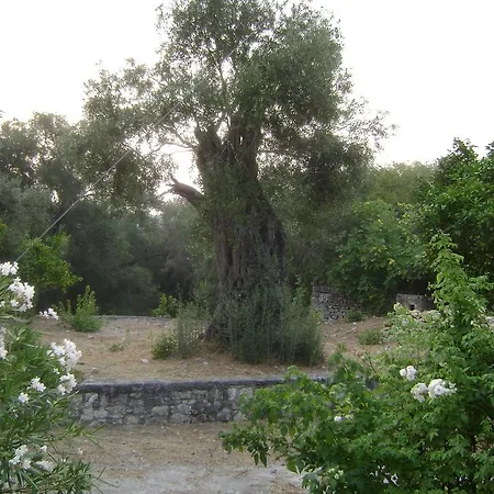 Holiday home Elvira *