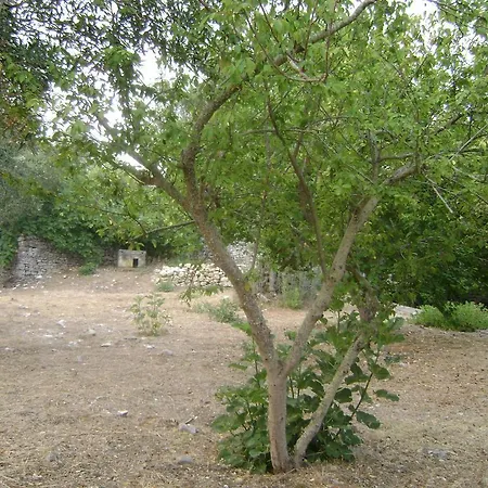 Elvira Prázdninový dům *