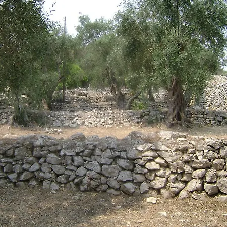 Prázdninový dům Elvira *