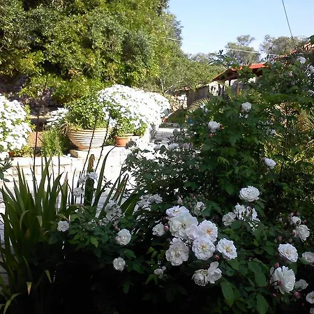 Prázdninový dům Elvira Magaziá