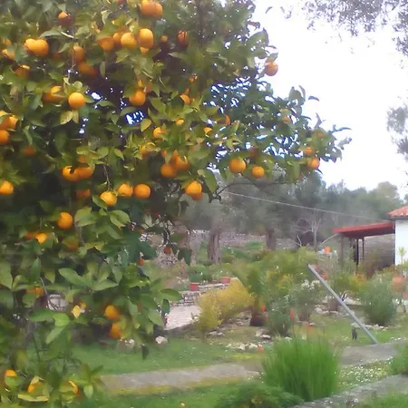 Elvira Holiday home