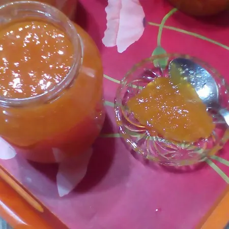 Prázdninový dům Elvira *