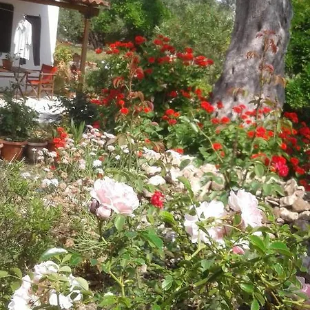 Elvira Holiday home
