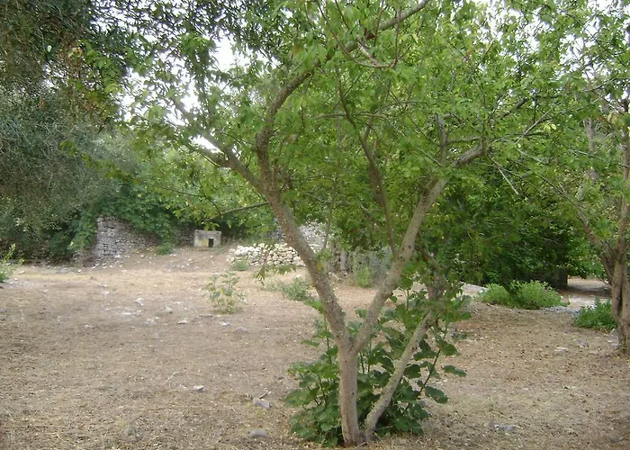 Elvira Дом отдыха *