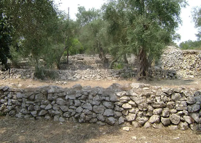 Дом отдыха Elvira *