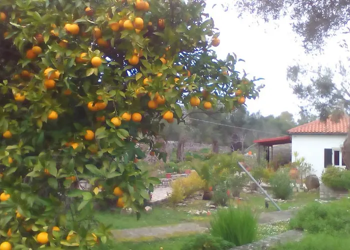 Elvira Дом отдыха