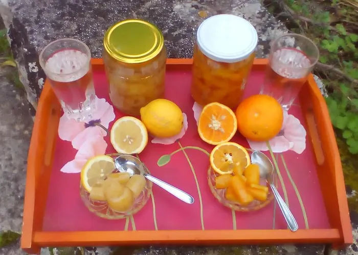 Дом отдыха Elvira *